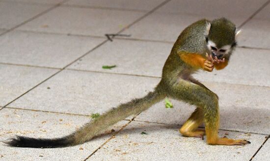 Празднование Хэллоуина в парке "Роев ручей"