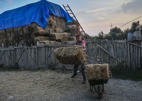 Жизнь в прифронтовых селах Агдамского района в Азербайджане