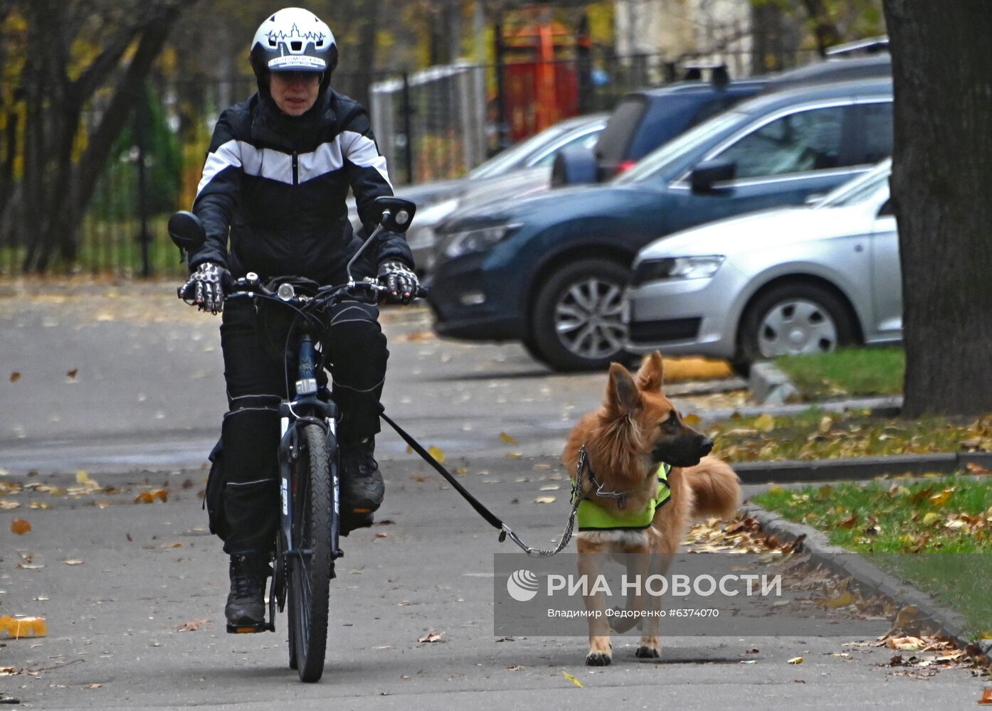 Повседневная  жизнь 