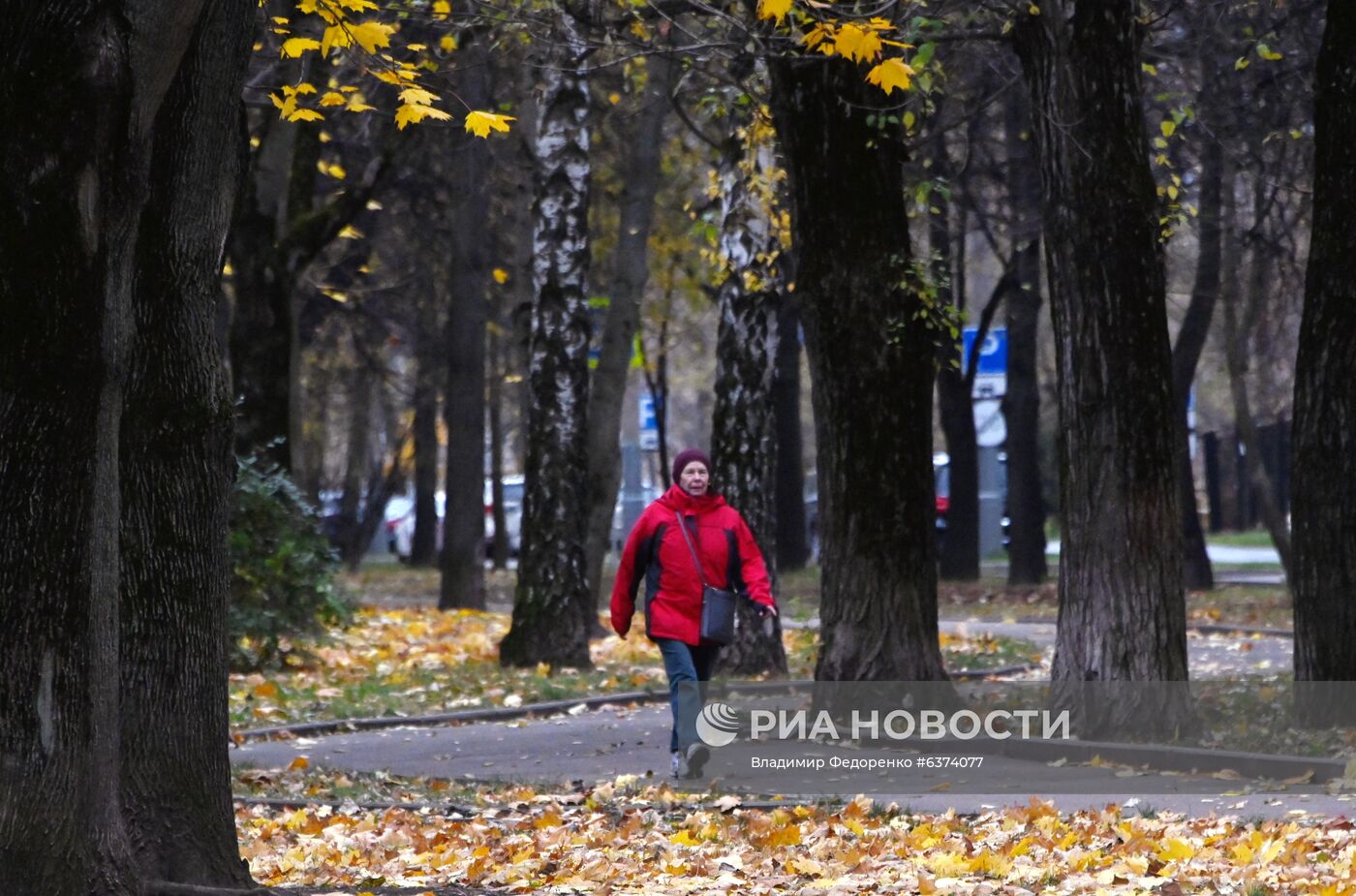 Повседневная  жизнь 