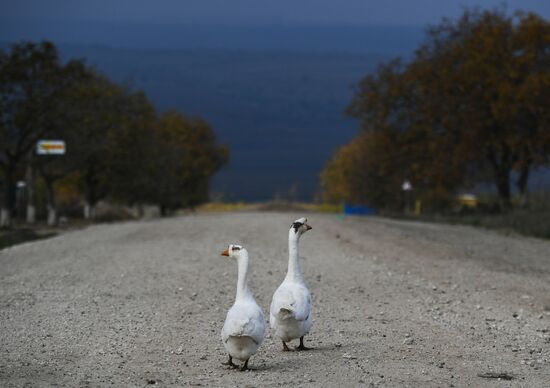 ФОТО НЕДЕЛИ