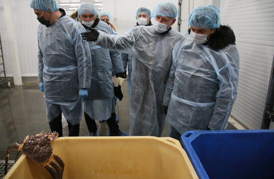 В Мурманске заработал первый цех по переработке живого краба