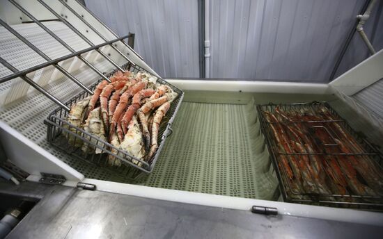 В Мурманске заработал первый цех по переработке живого краба