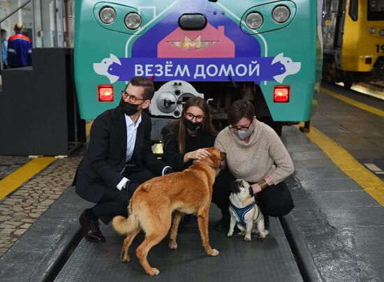 Запуск тематического поезда метро "Хвосты и лапки"