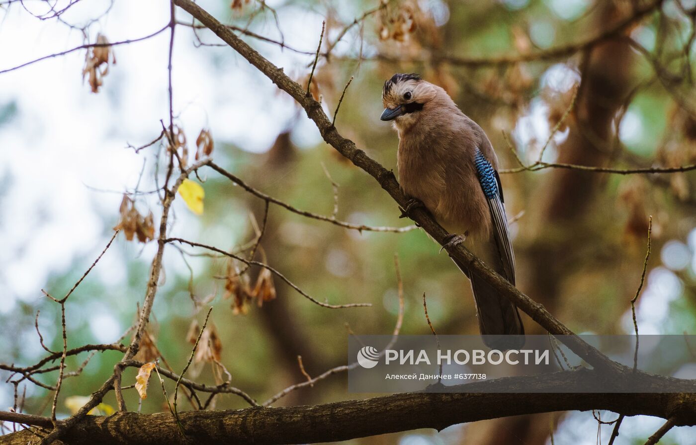 Национальный парк "Кисловодский"