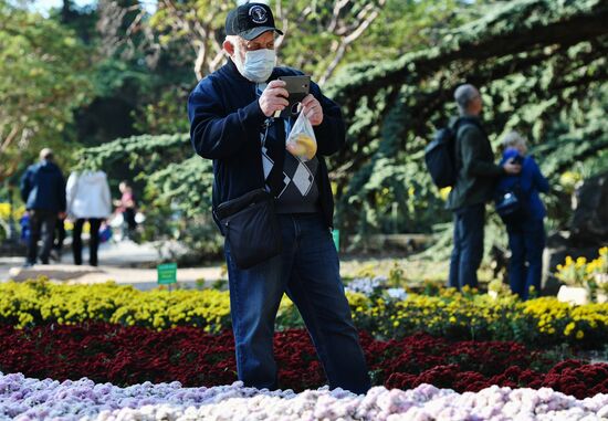 "Бал хризантем" в Никитском ботаническом саду