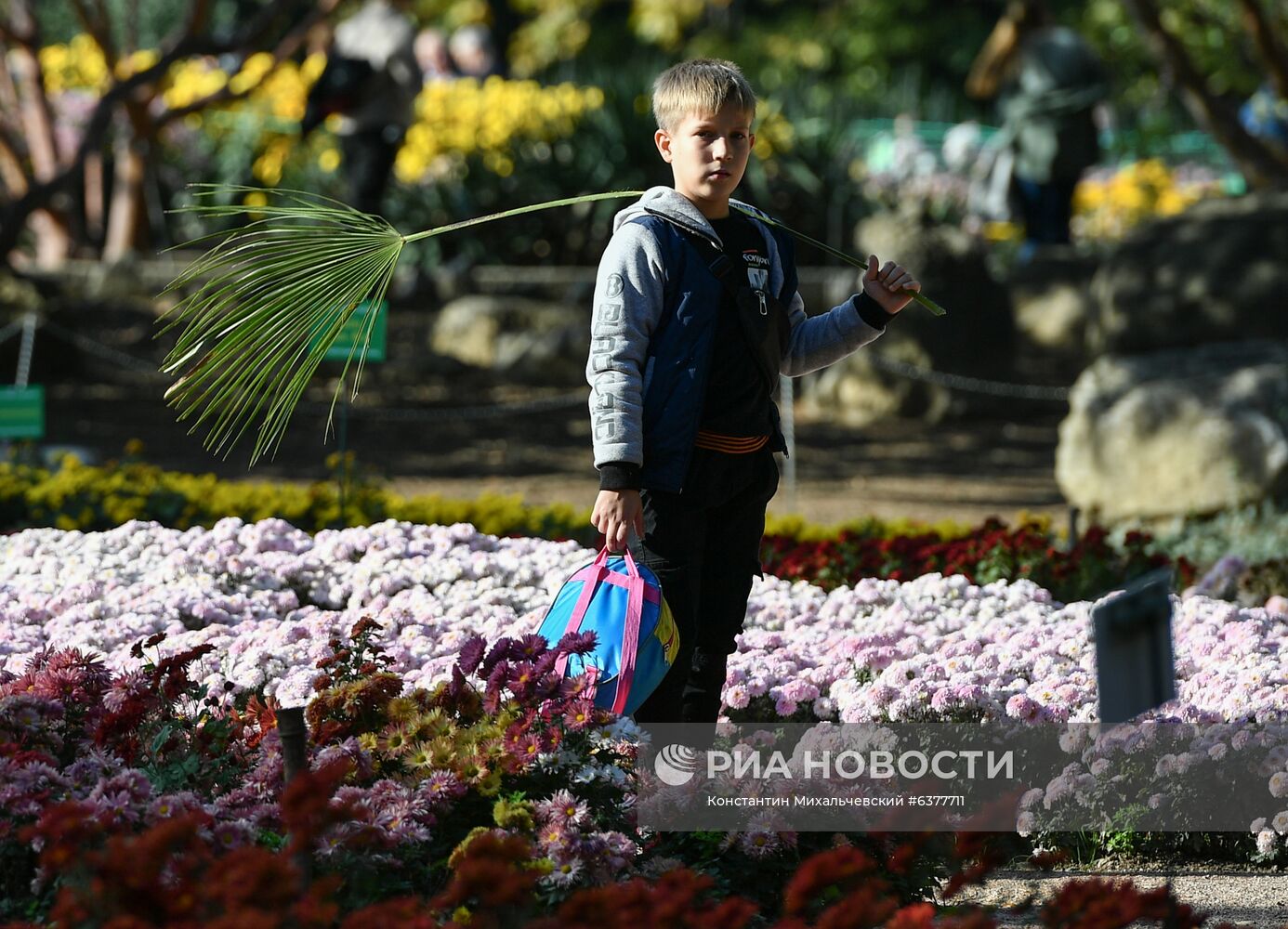 "Бал хризантем" в Никитском ботаническом саду