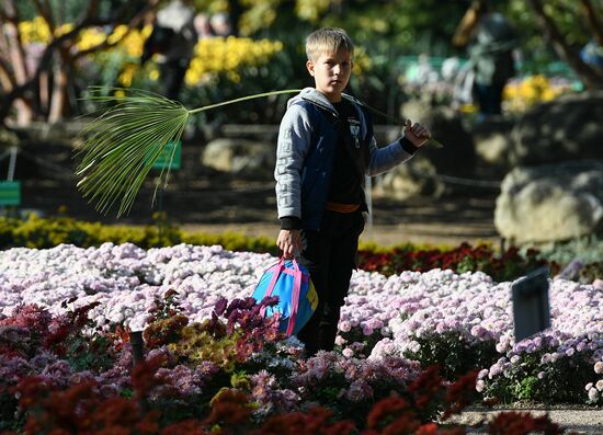 "Бал хризантем" в Никитском ботаническом саду