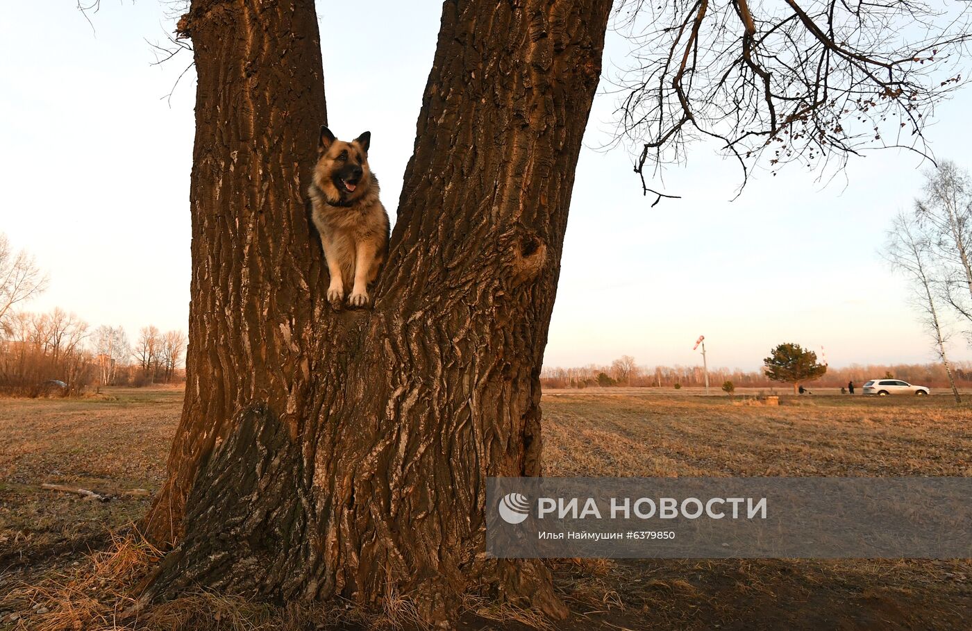 "Татышев-парк" в Красноярске