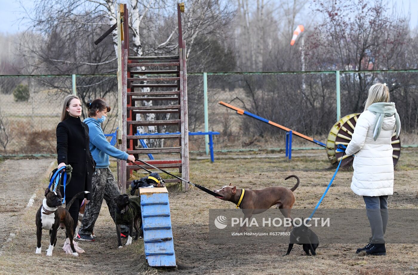 "Татышев-парк" в Красноярске