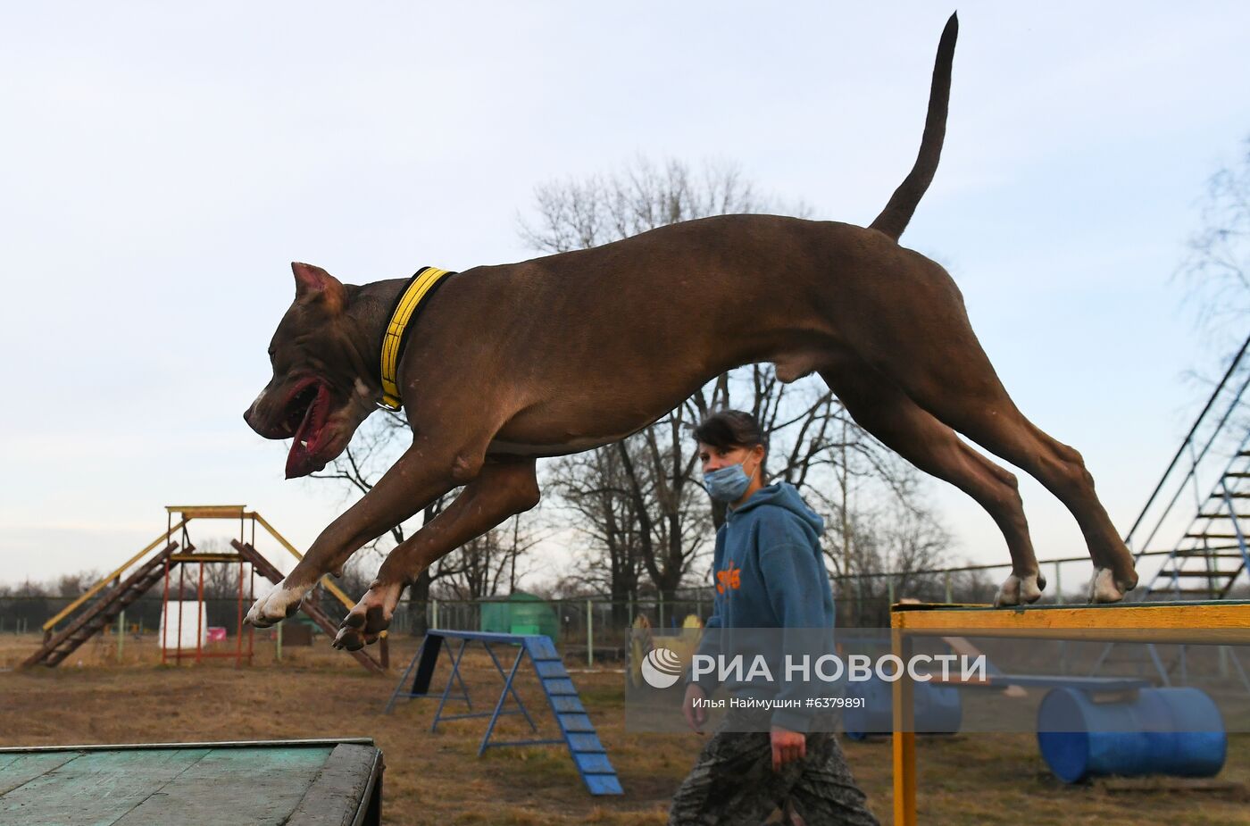 "Татышев-парк" в Красноярске