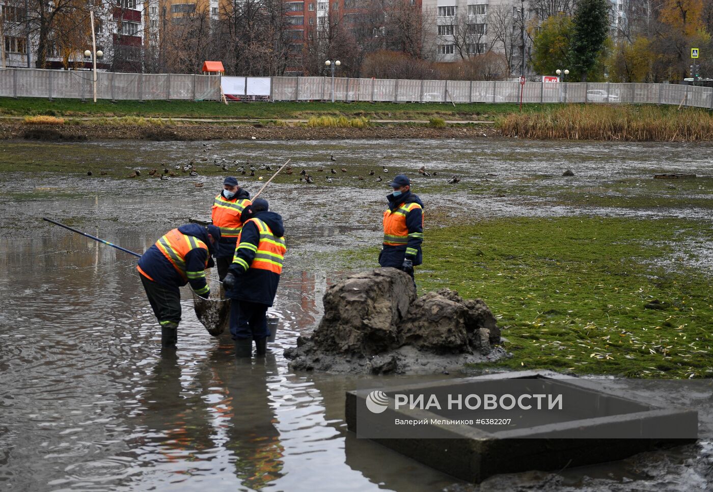 Переселение рыб из пруда Ясный в Останкинский