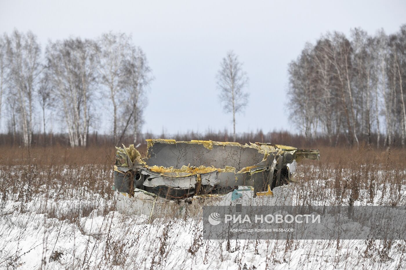 В Новосибирске из-за проблем с двигателем вынужденно сел Ан-124