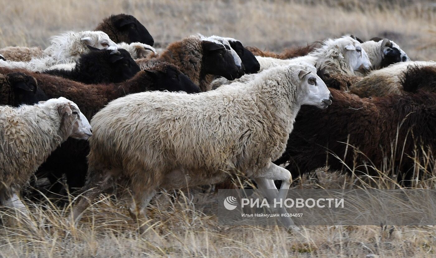 Регионы России. Хакасия