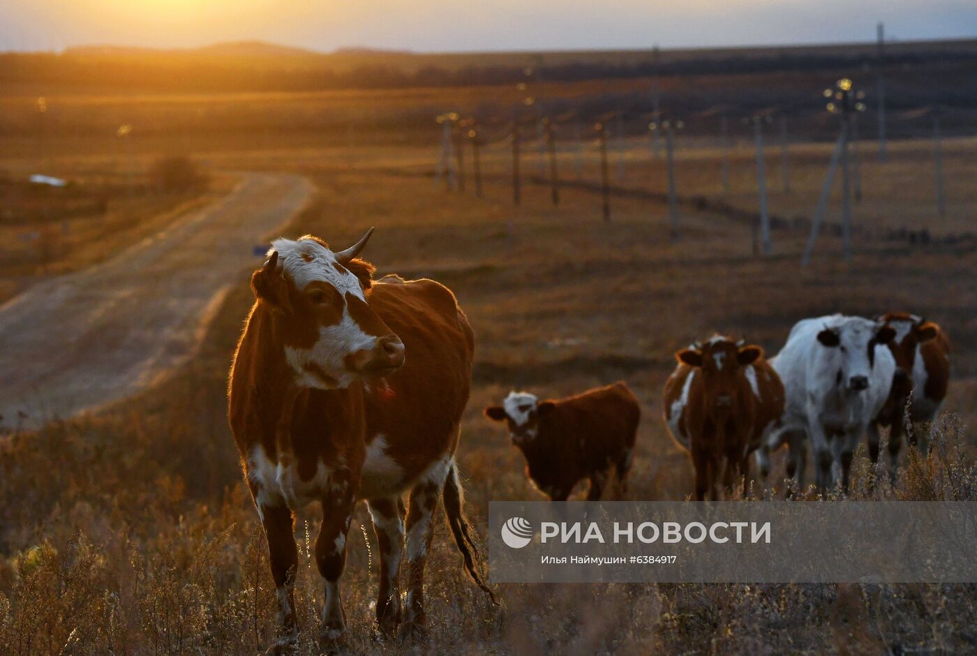 Регионы России. Хакасия