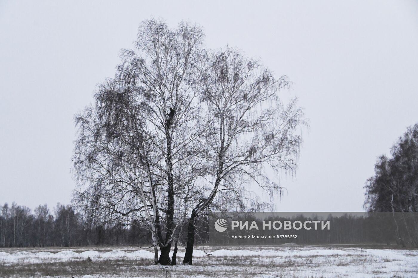 Омский тиктокер А. Дудоладов