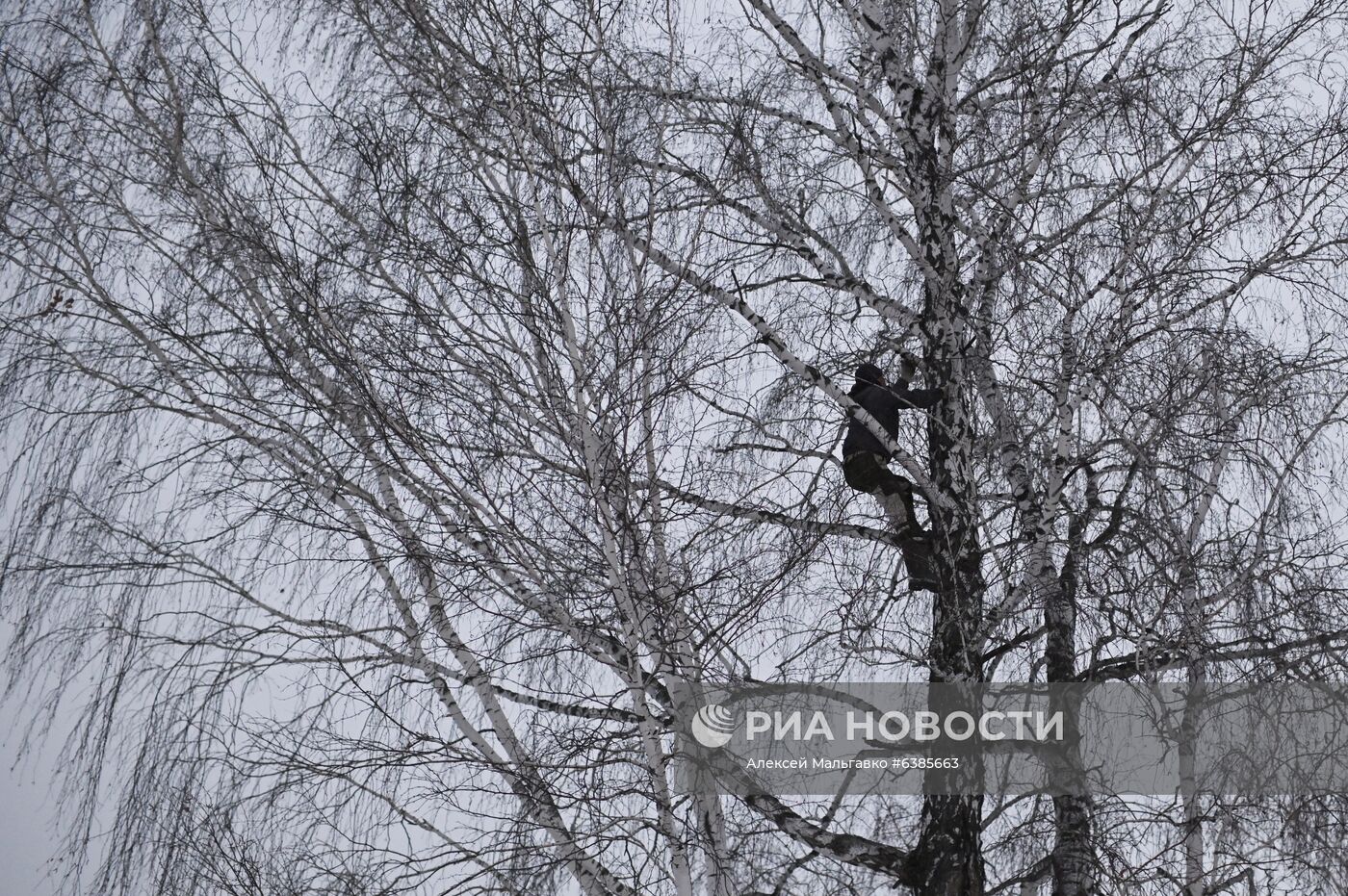 Омский тиктокер А. Дудоладов