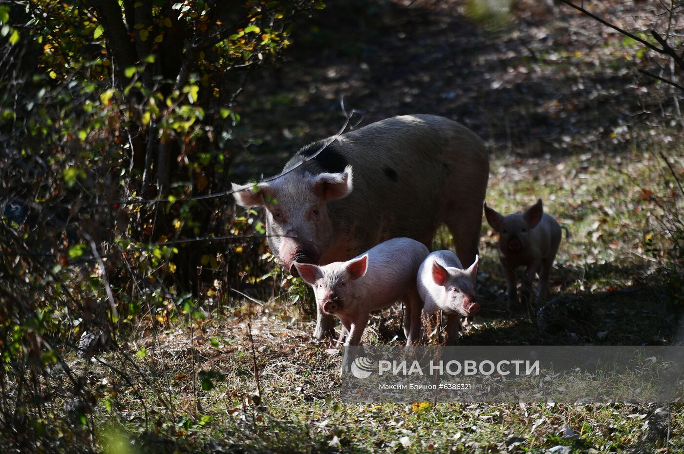 Ситуация в Нагорном Карабахе