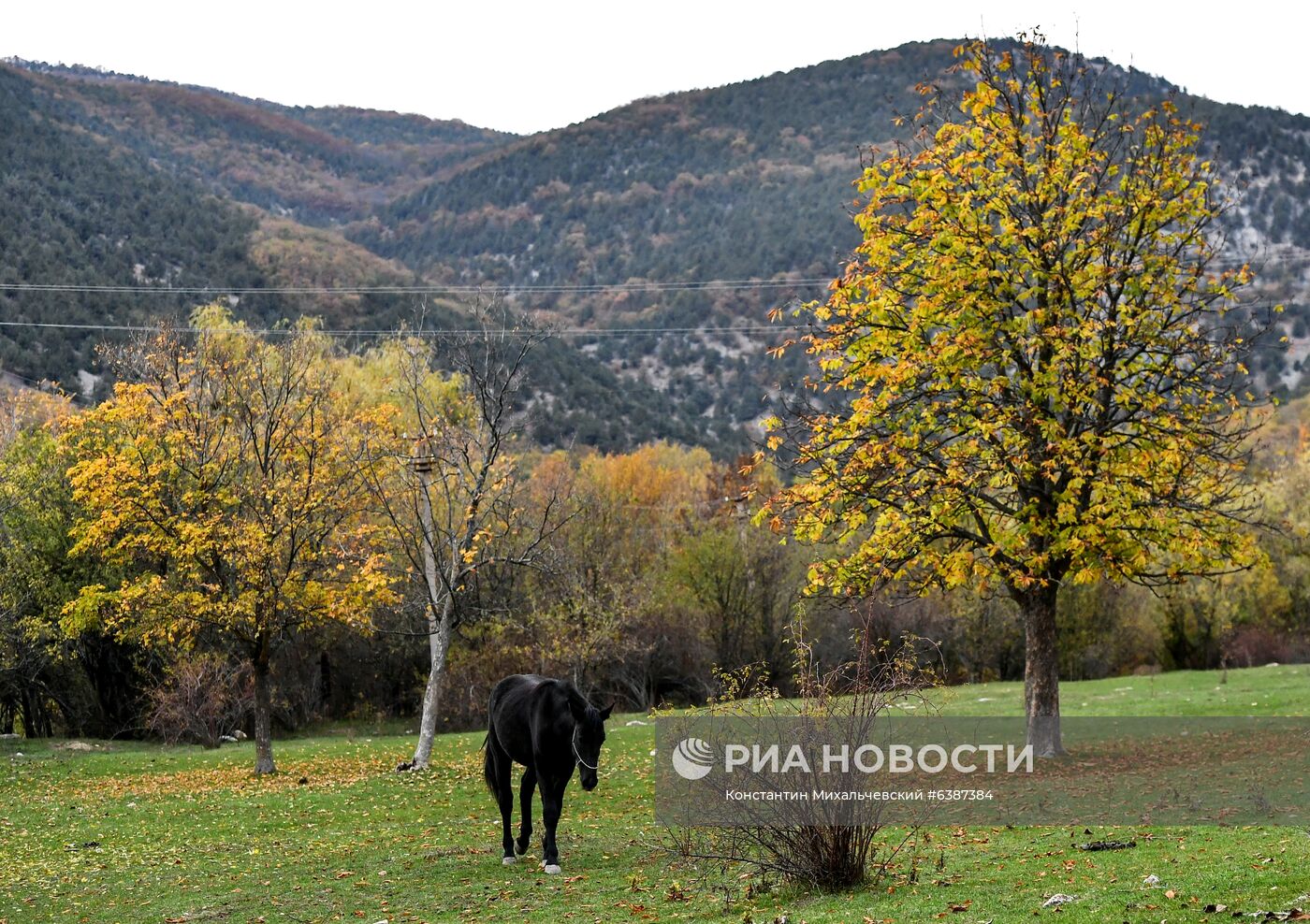 Лошади в окрестностях каньона Узунджа