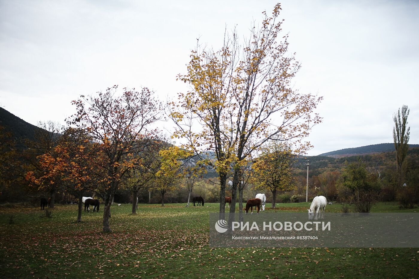 Лошади в окрестностях каньона Узунджа