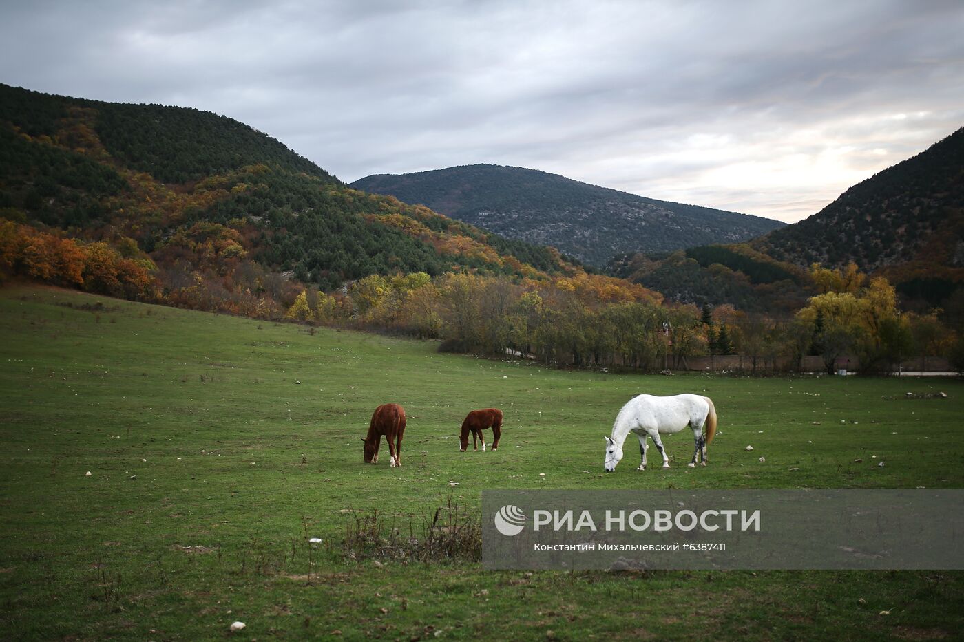 Лошади в окрестностях каньона Узунджа
