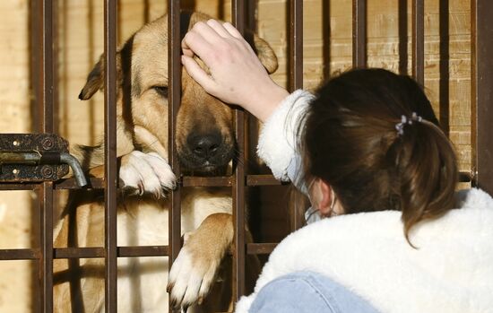 Открытие приюта для животных в Подмосковье