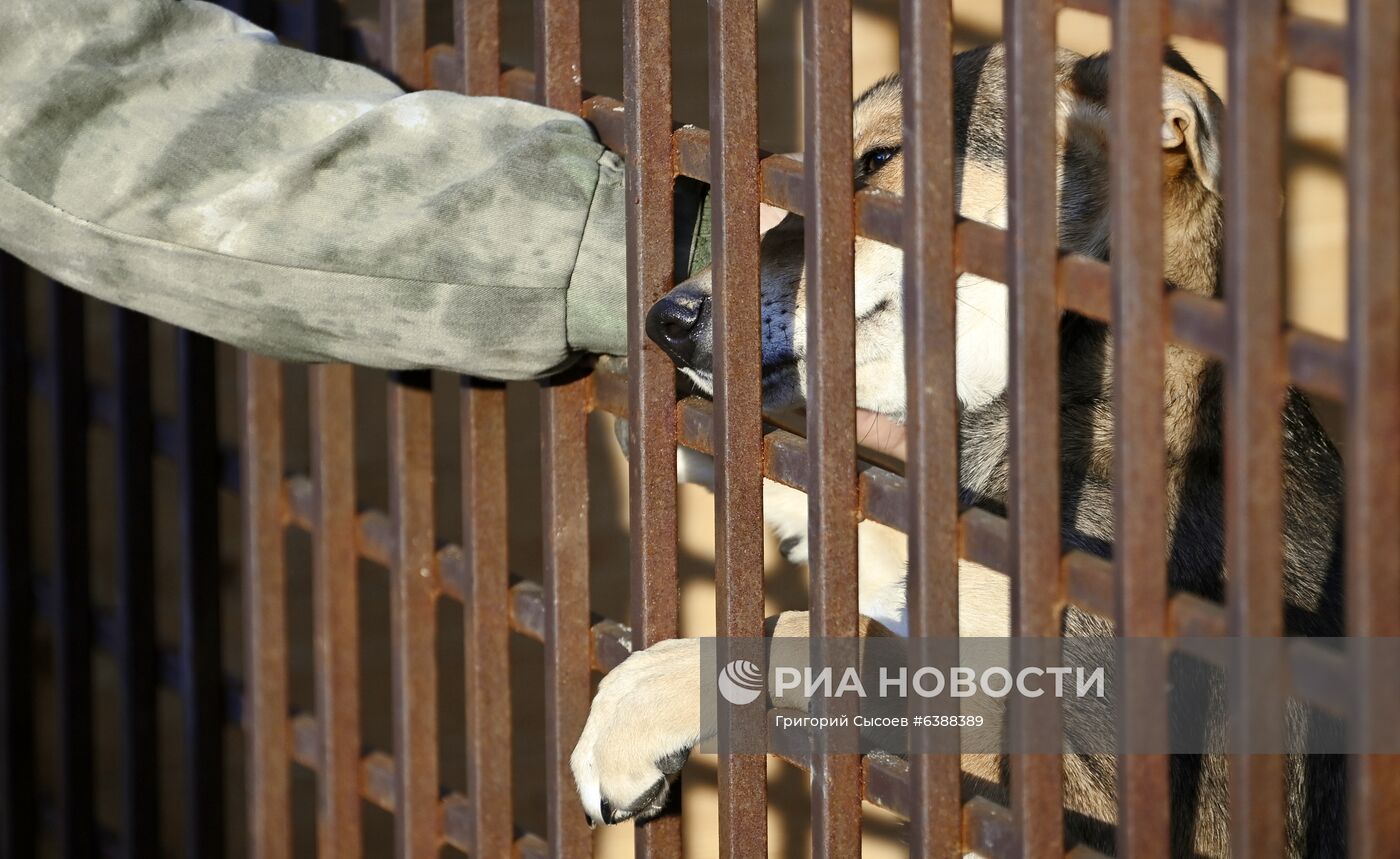 Открытие приюта для животных в Подмосковье