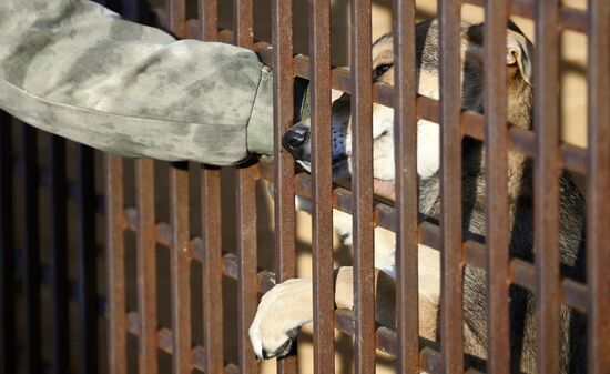 Открытие приюта для животных в Подмосковье