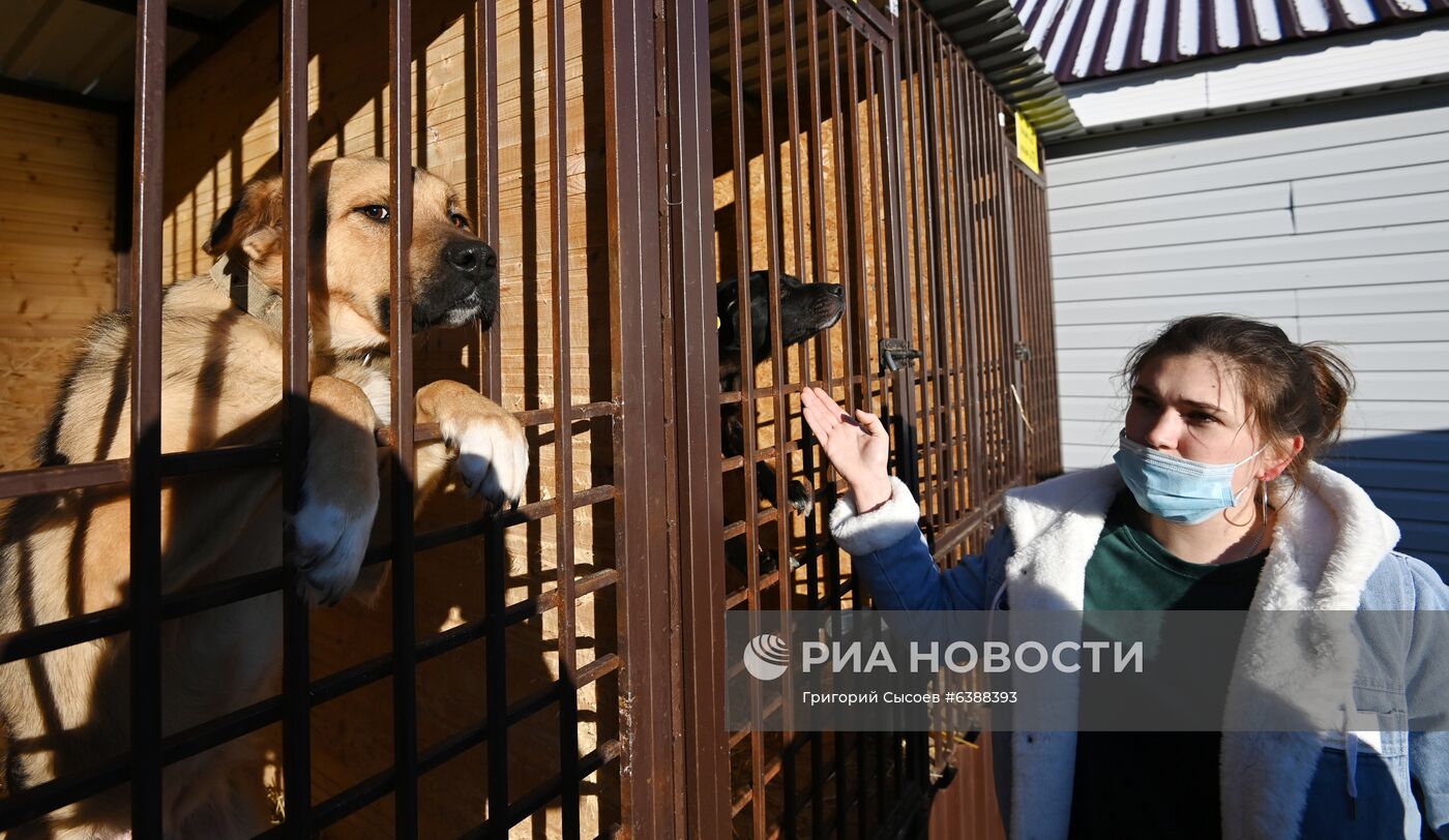 Открытие приюта для животных в Подмосковье