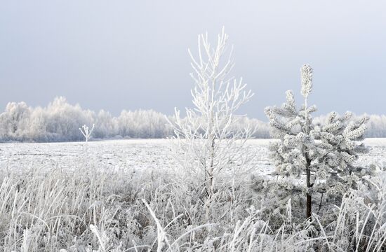 Снег в пригороде Казани