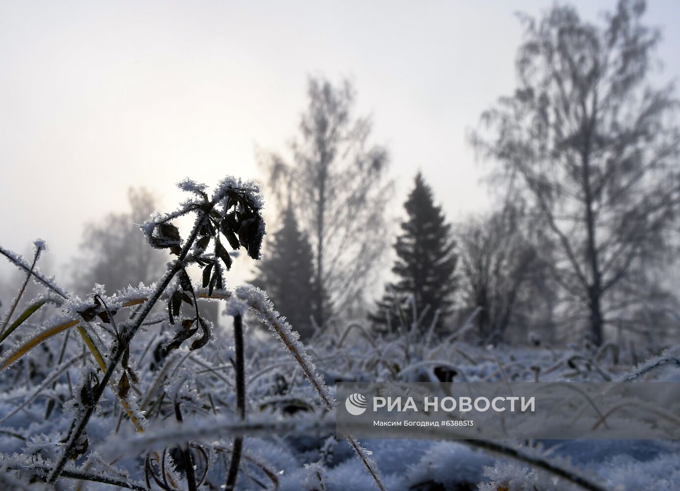 Снег в пригороде Казани