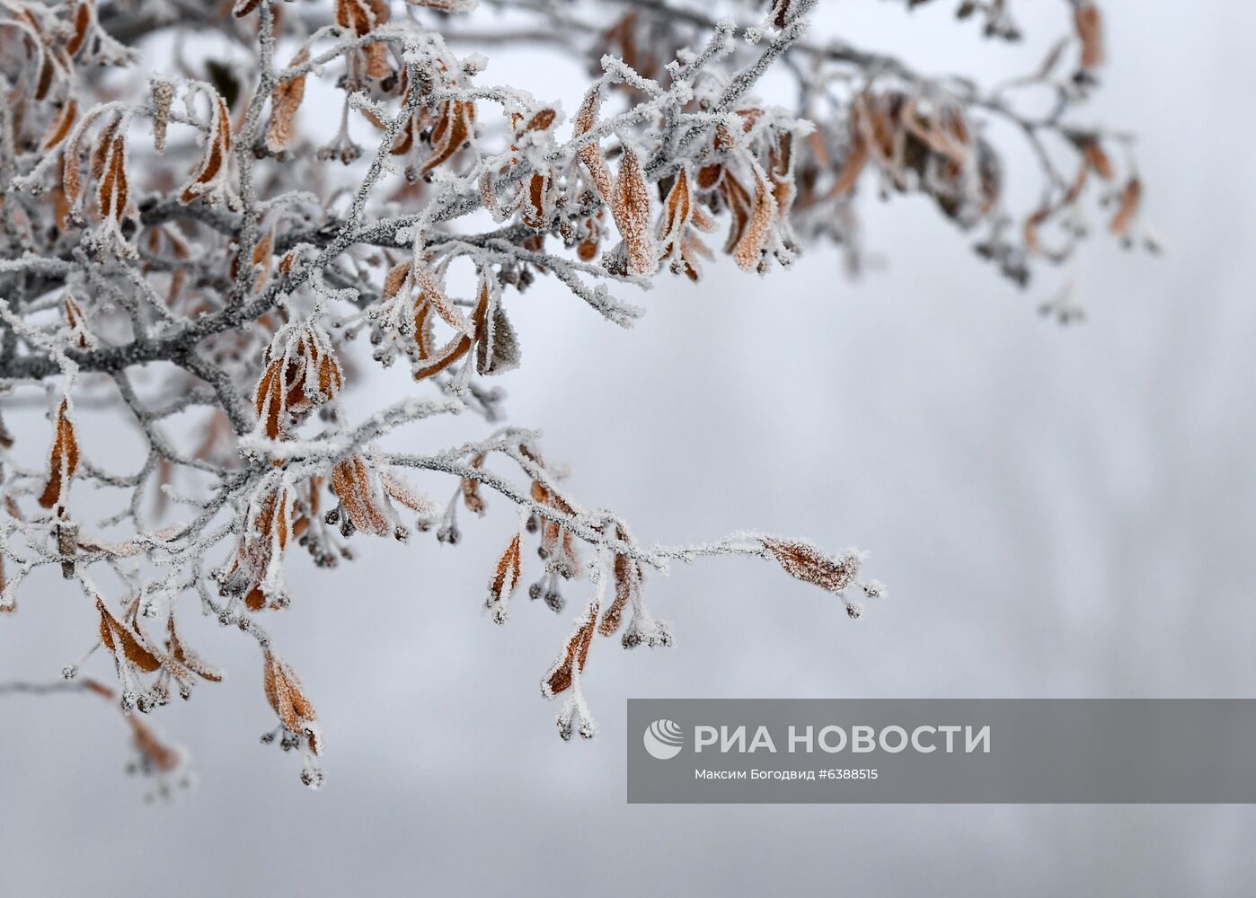 Снег в пригороде Казани