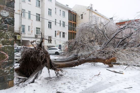 Последствия ледяного дождя во Владивостоке