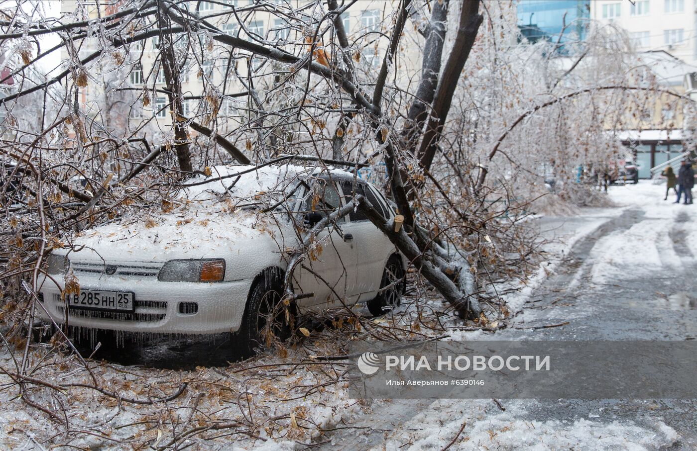Последствия ледяного дождя во Владивостоке