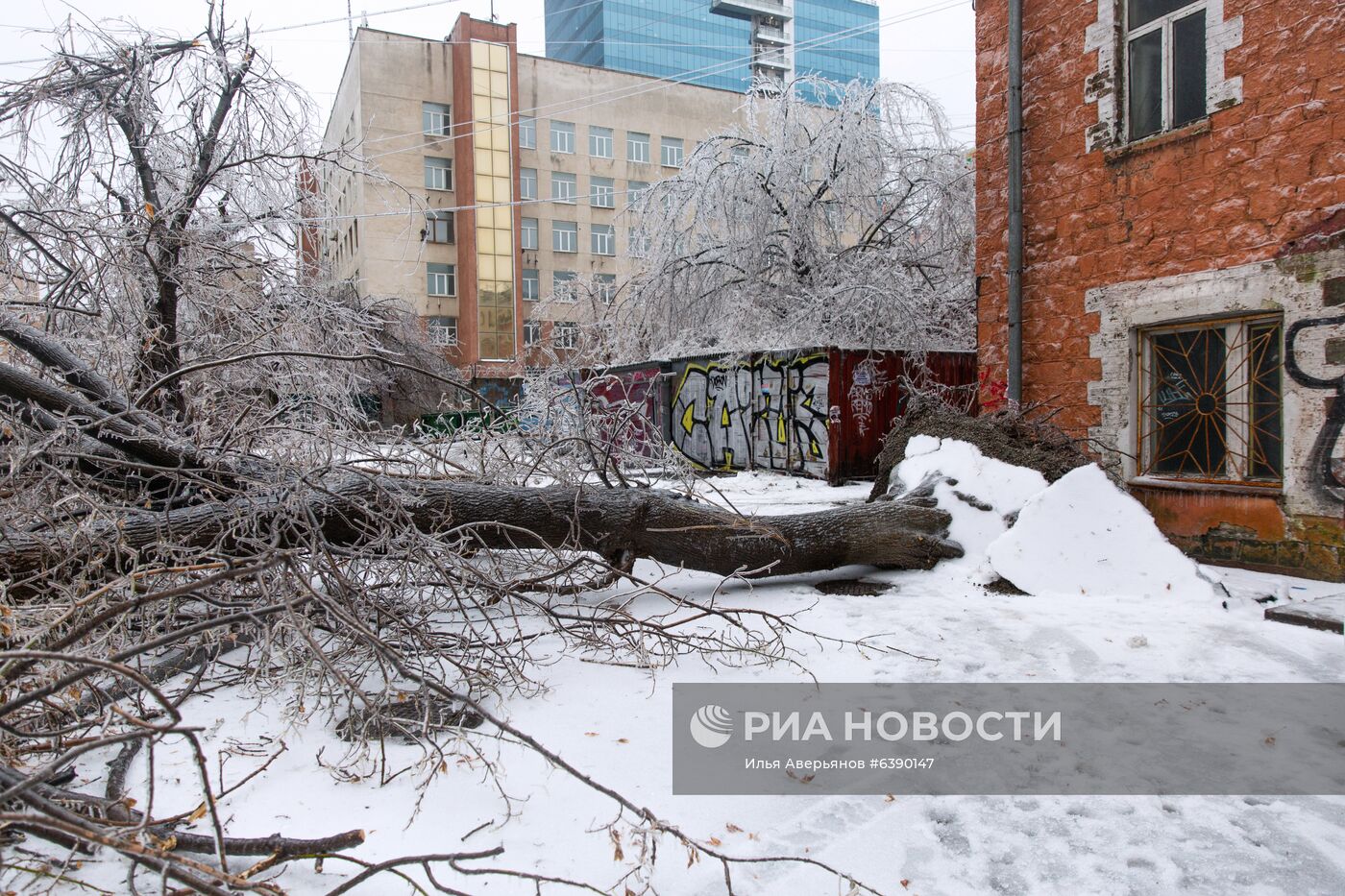 Последствия ледяного дождя во Владивостоке