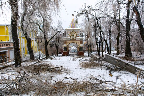 Последствия ледяного дождя во Владивостоке