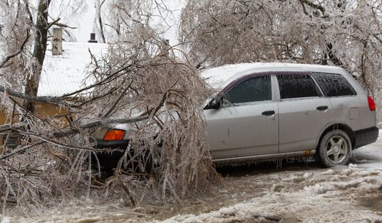 Последствия ледяного дождя во Владивостоке