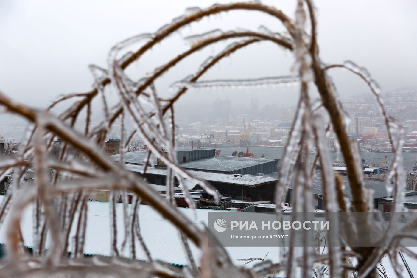 Последствия ледяного дождя во Владивостоке