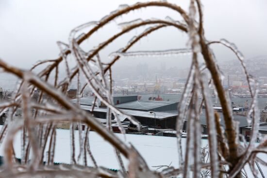 Последствия ледяного дождя во Владивостоке