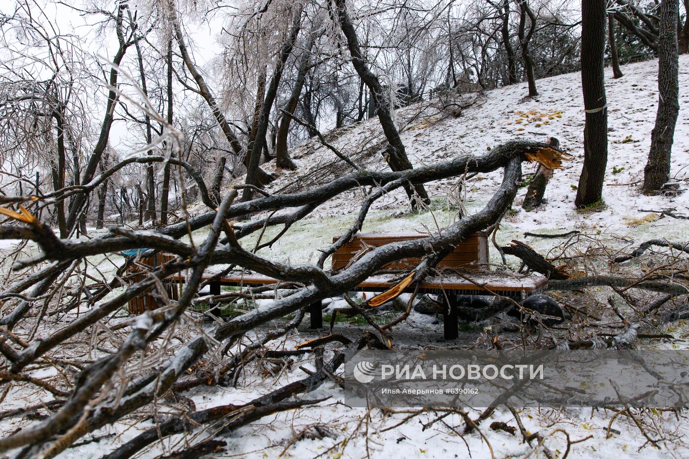 Последствия ледяного дождя во Владивостоке