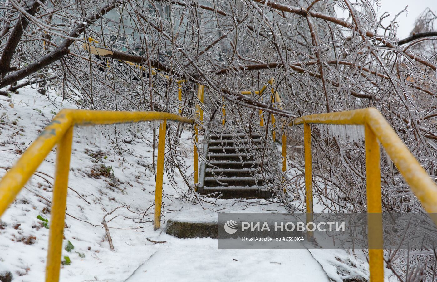 Последствия ледяного дождя во Владивостоке