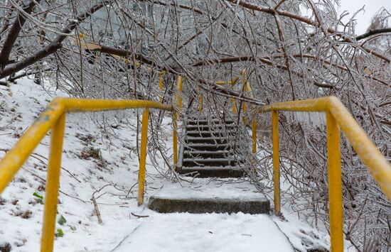 Последствия ледяного дождя во Владивостоке