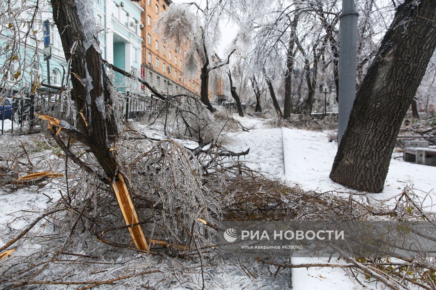 Последствия ледяного дождя во Владивостоке