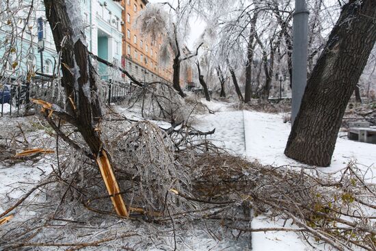 Последствия ледяного дождя во Владивостоке