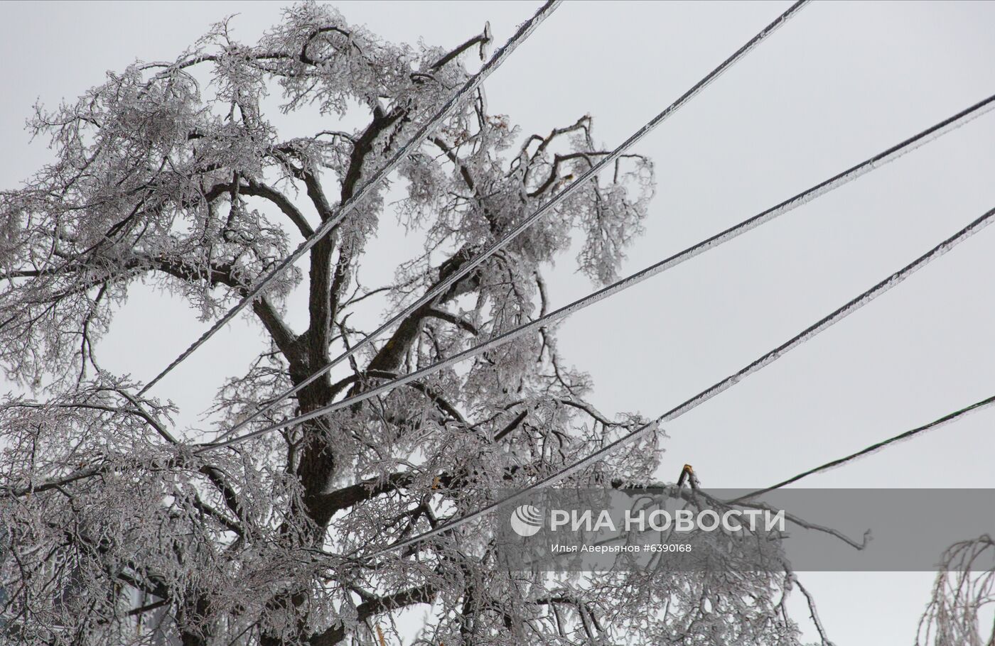 Последствия ледяного дождя во Владивостоке