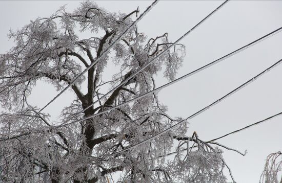 Последствия ледяного дождя во Владивостоке