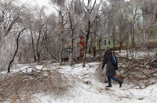 Последствия ледяного дождя во Владивостоке