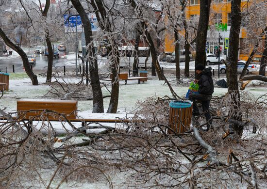 Последствия ледяного дождя во Владивостоке