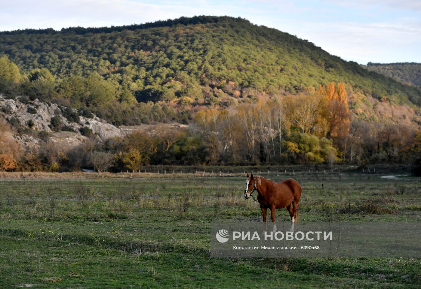 Регионы России. Крым