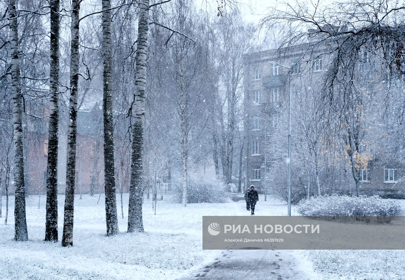 Метель в Санкт-Петербурге